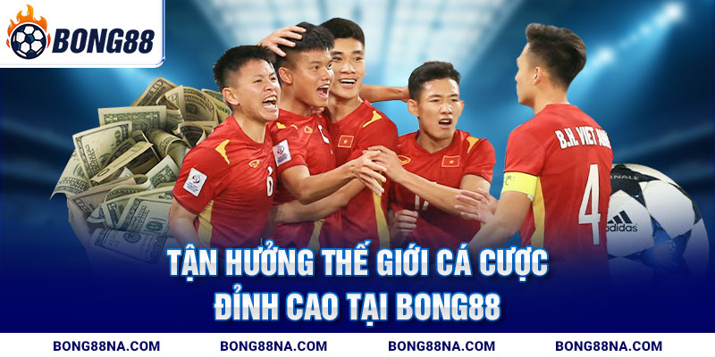 Tận hưởng thế giới cá cược đỉnh cao Tận hưởng thế giới cá cược đỉnh cao