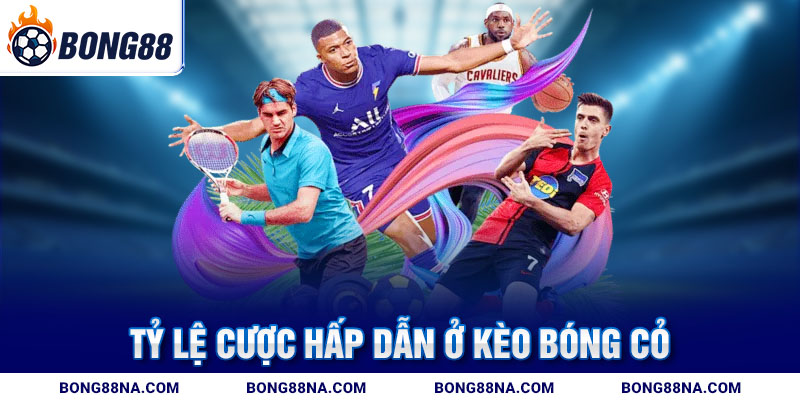 Tỷ lệ cược hấp dẫn ở kèo bóng cỏ